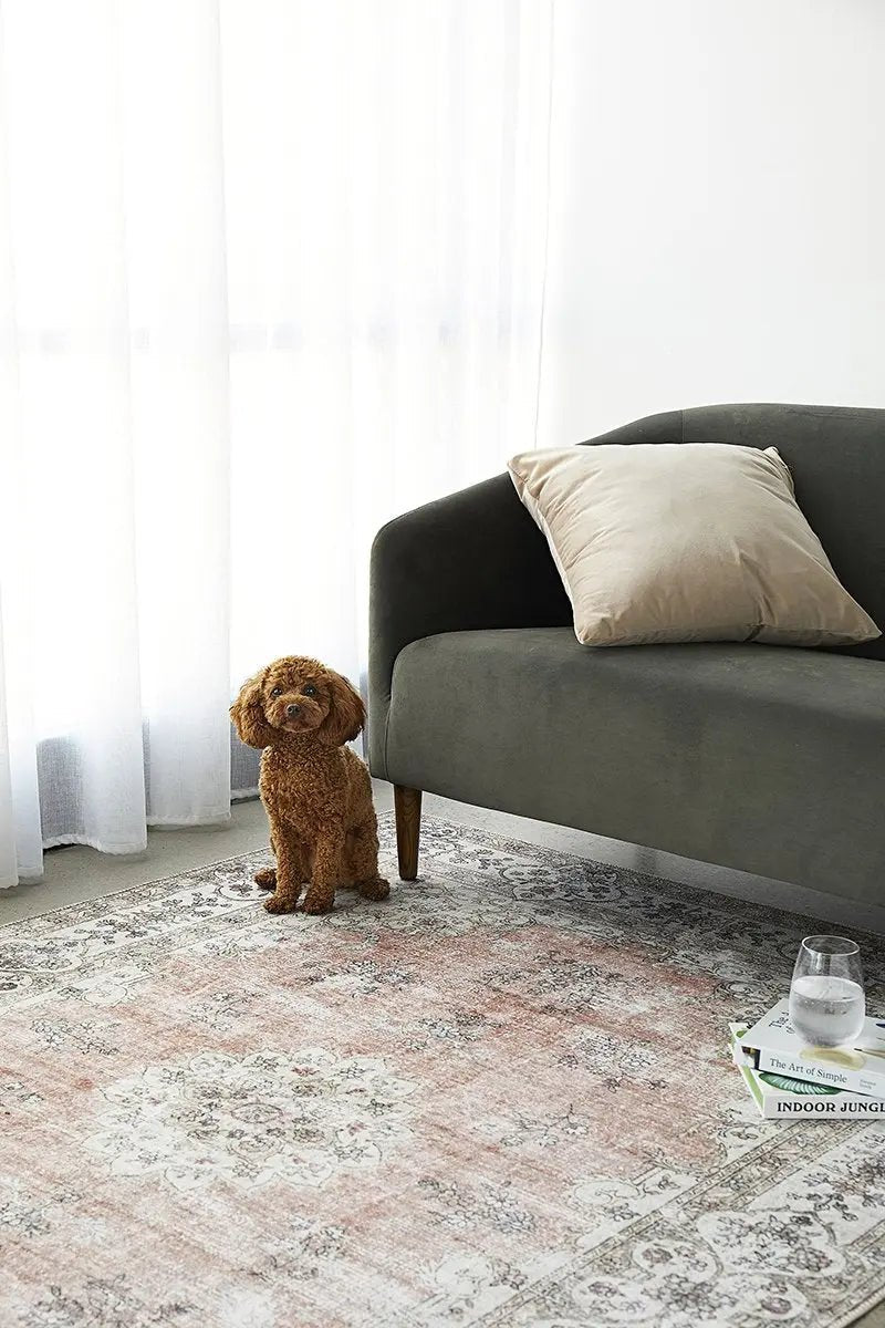 Which rugs are best for machine washing? - Star Rugs