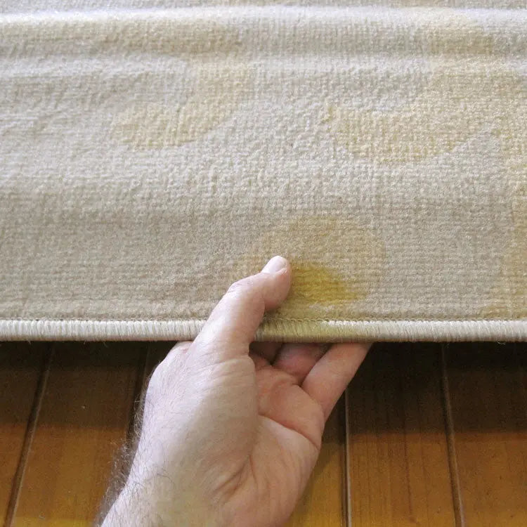Budget Collection 6045 Beige Saray Rugs