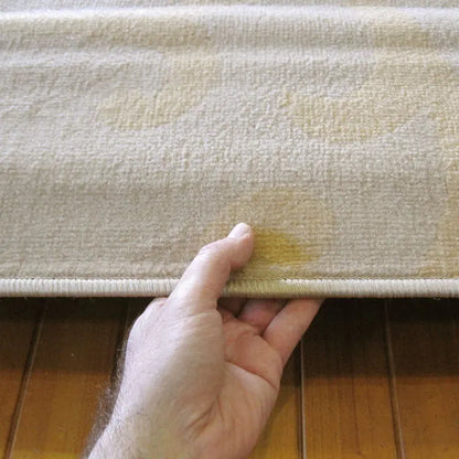 Budget Collection 6045 Beige Saray Rugs