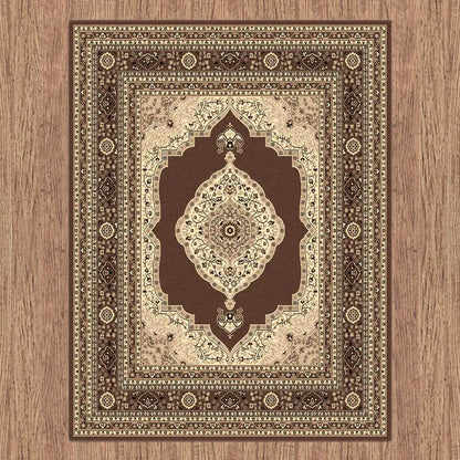 Budget Collection 6332 Brown Saray Rugs