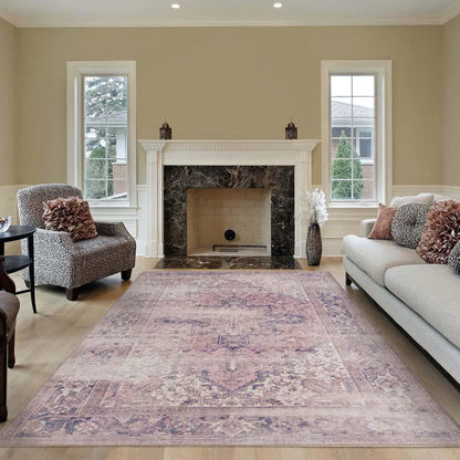 Devosion Vintage 245 Multi Rug Saray Rugs