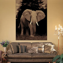 Picture Collection Elephant Saray Rugs