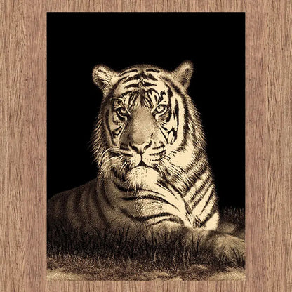 Picture Collection Tiger Saray Rugs