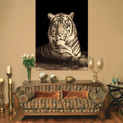 Picture Collection Tiger Saray Rugs